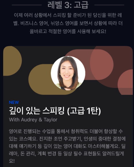 스픽 스피킹 고급
